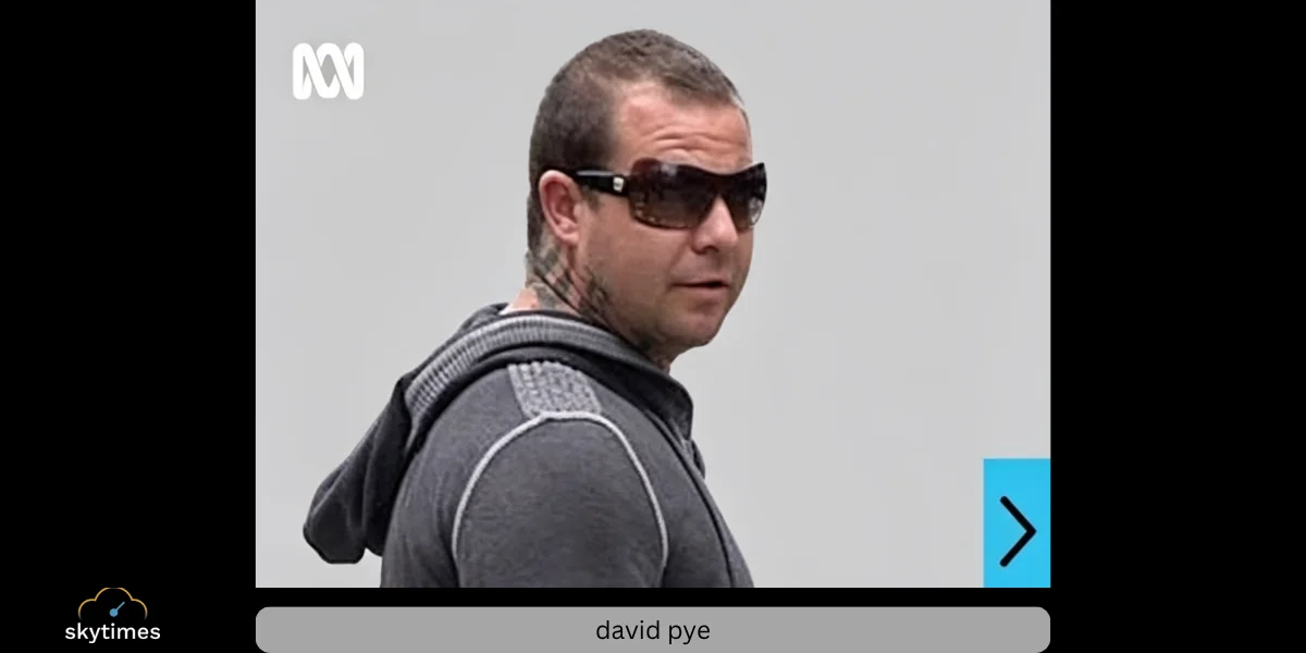 David Pye
